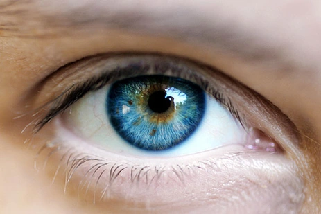 Chirurgie de la surface oculaire Dr Hervé CHENAL Oculoplasticien IEVR Nancy Chirurgie de la surface oculaire Dr Hervé CHENAL Oculoplasticien IEVR Nancy