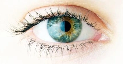 Chirurgie Réparatrice des Paupières Dr Hervé CHENAL Expertise en Oculoplastie Chirurgie Réparatrice des Paupières Dr Hervé CHENAL Expertise en Oculoplastie